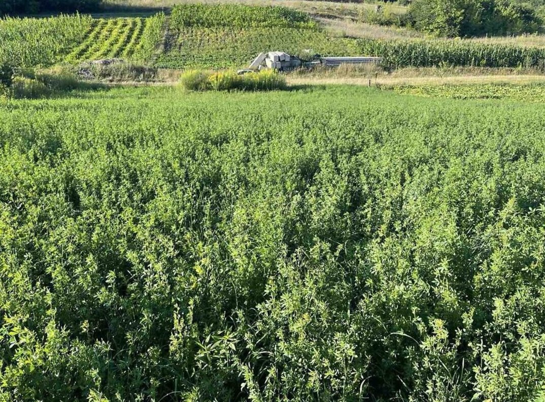 ������ �������� ������ �� ������� ��������, ����� 11 ����� ���� 1