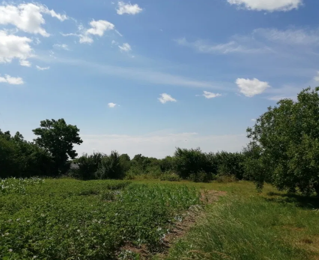 Продається ділянка Вінницька, Вінниця, Передмістя, Зарванці, Мирна фото 1 Продається ділянка Вінницька, Вінниця, Передмістя, Зарванці, Мирна фото 1