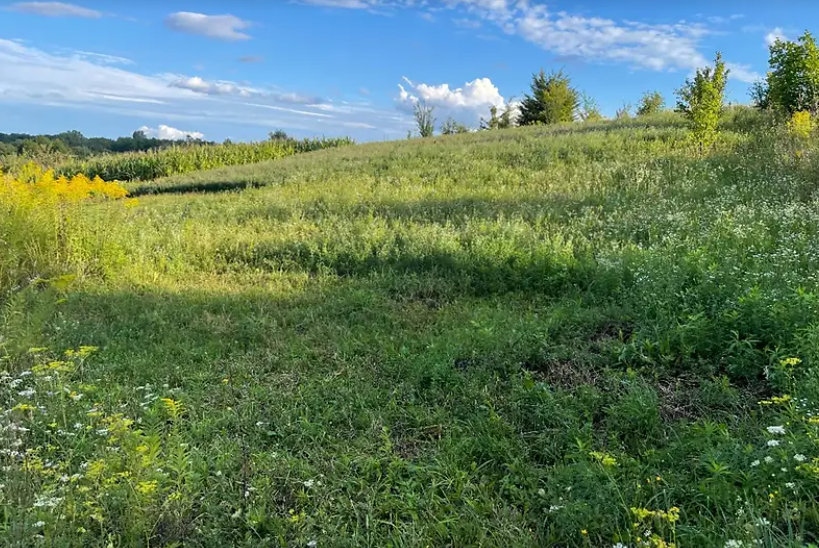 ������ �������� ������ �� ������� �������� �� ���. ����� ��������, ����� 10.5 ����� ���� 1