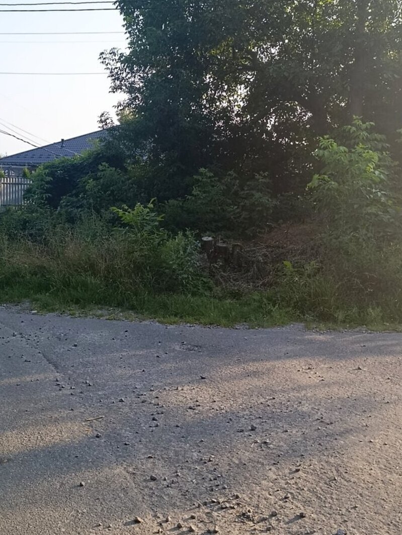 Продаж земельної ділянки під житлову забудову на вул. Лялі Ратушної, с. Зарванці фото 1 Продаж земельної ділянки під житлову забудову на вул. Лялі Ратушної, с. Зарванці фото 1