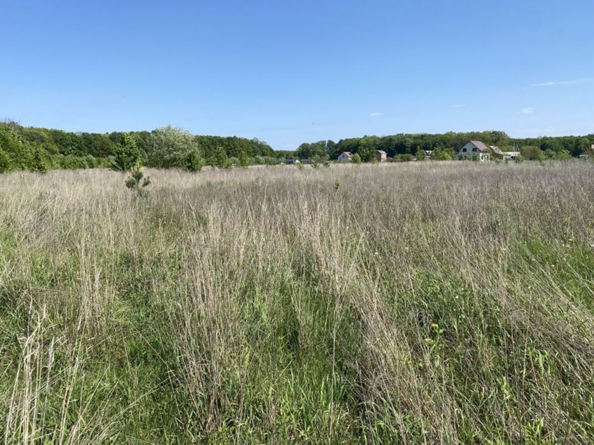 ��������� ������ ³�����, ³�������, ���������, �������� ���� 1