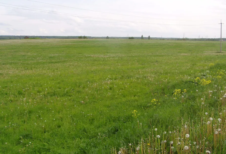 ������ �������� ������ ��������������������� ����������� �� ���. ����� ����������, ����� 2.09 �� ���� 1