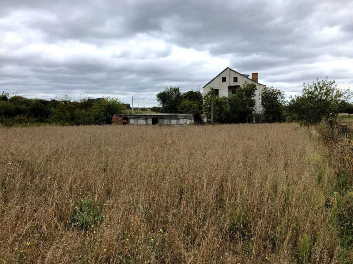 �������� ������ 10 ���. � ����������� � �. �������. ���� 1