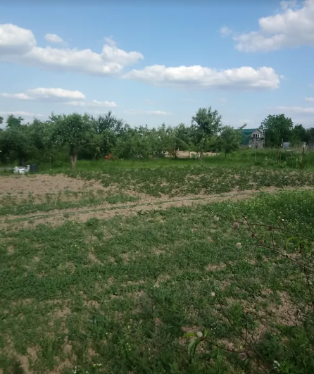Продаж земельної ділянки сільськогосподарського призначення, площа 12 соток фото 1 Продаж земельної ділянки сільськогосподарського призначення, площа 12 соток фото 1