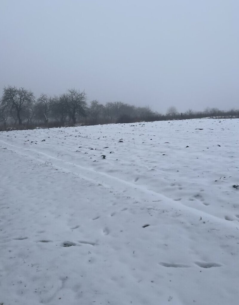 ������ �������� ������ �� ������� ��������, ����� 20 ����� ���� 1