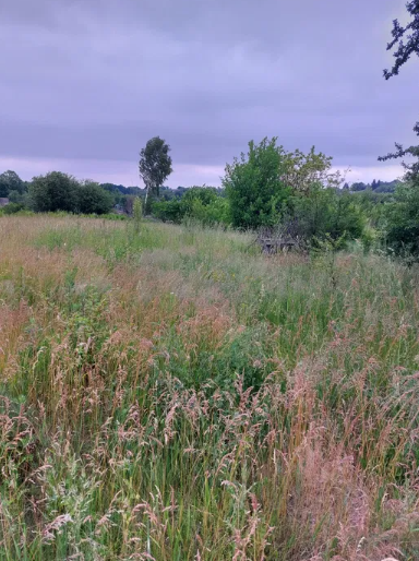 ������ �������� ������ � �. �������� ���� 1