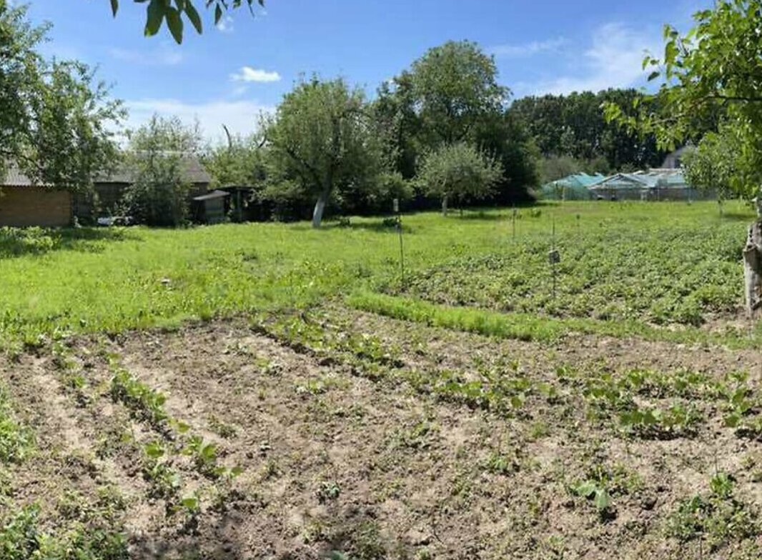 ������ �������� ������ �� ������� ��������, ����� 15 ����� ���� 1