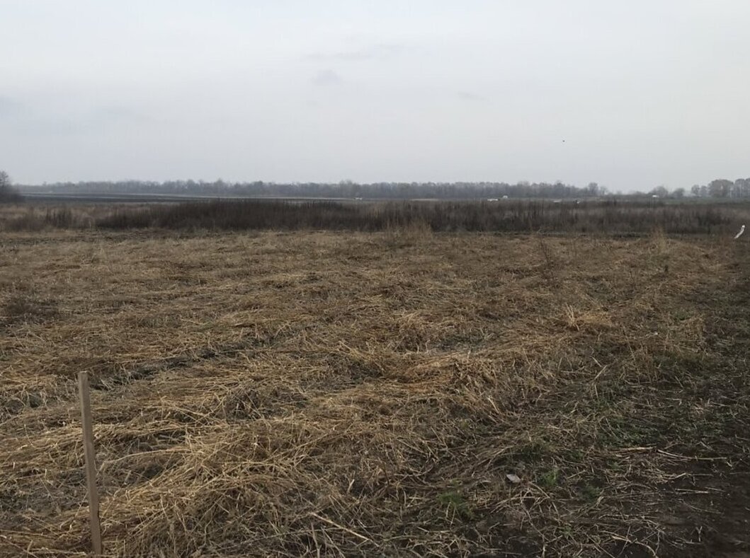 ������ �������� ������ ��������������������� ����������� �� ���. ���������, ����� 10 ����� ���� 1