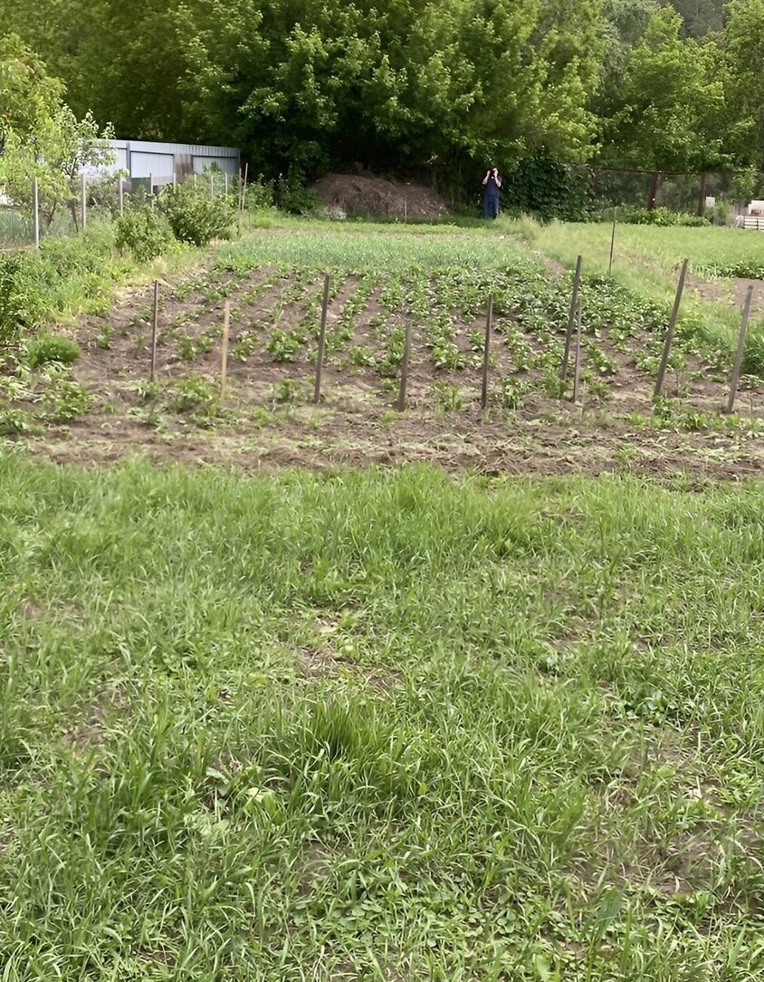 Продаж земельної ділянки, 2-й пр. Енергетиків, площа 6.26 сотки фото 1 Продаж земельної ділянки, 2-й пр. Енергетиків, площа 6.26 сотки фото 1