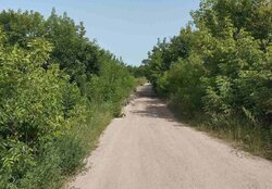 ������ �������� ������ ��������������������� �����������, ����� 325 ����� ���� 1