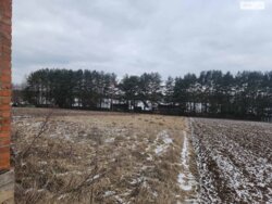 Продаж земельної ділянки під житлову забудову на вул. Дружби, площа 25 соток фото 9 Продаж земельної ділянки під житлову забудову на вул. Дружби, площа 25 соток фото 9