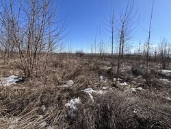 ������ �������� ������, 8 �����, �. �������� ���� 8