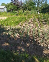     ,   '', ,  0.0501   3