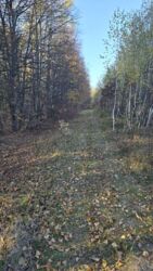 Земельна ділянка 2.5 гектари фото 4 Земельна ділянка 2.5 гектари фото 4