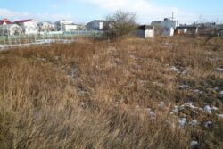 ��������� ������ ³�����, ³�������, ���������, ��������� ���� 8