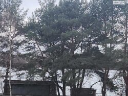 Продаж земельної ділянки під житлову забудову на вул. Дружби, площа 25 соток фото 8 Продаж земельної ділянки під житлову забудову на вул. Дружби, площа 25 соток фото 8