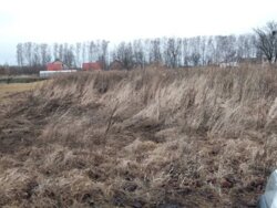 Продаж земельної ділянки під житлову забудову на Шевченка, площа 24.3 сотки фото 3 Продаж земельної ділянки під житлову забудову на Шевченка, площа 24.3 сотки фото 3