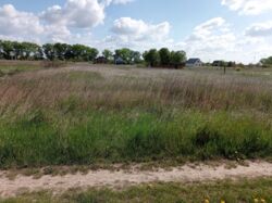 ��������� ������ ������ �����, �������, �����������, ³������� ���� 2