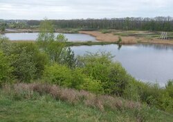 ������ �������� ������ �� ������� �������� �� ���. ������, ����� 10 ����� ���� 12