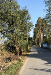 Продаж земельної ділянки сільськогосподарського призначення, смт. Стрижавка, 7 соток фото 3 Продаж земельної ділянки сільськогосподарського призначення, смт. Стрижавка, 7 соток фото 3