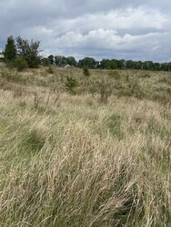 Продаж земельної ділянки під житлову забудову на вул. Зарічна Нова, 15 соток фото 2 Продаж земельної ділянки під житлову забудову на вул. Зарічна Нова, 15 соток фото 2