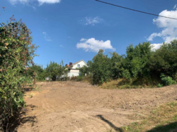 ��������� ������ ��������, ³��������, ³������� ���� 2