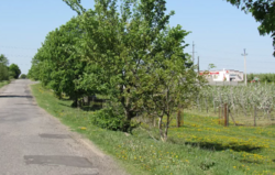 Продаж земельної ділянки комерційного призначення в селі Лука-Мелешківська, Вінницькій області, Коцюбинского улица, площа 214.48 сотки фото 9 Продаж земельної ділянки комерційного призначення в селі Лука-Мелешківська, Вінницькій області, Коцюбинского улица, площа 214.48 сотки фото 9