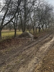 Продаж земельної ділянки під житлову забудову на просп. Лесі Українки, площа 11.7 сотки фото 5 Продаж земельної ділянки під житлову забудову на просп. Лесі Українки, площа 11.7 сотки фото 5