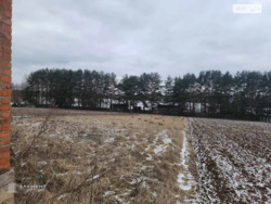 Продаж земельної ділянки під житлову забудову на вул. Дружби, площа 25 соток фото 5 Продаж земельної ділянки під житлову забудову на вул. Дружби, площа 25 соток фото 5