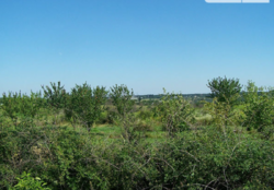 Продаж земельної ділянки комерційного призначення в селі Лука-Мелешківська, Вінницькій області, Коцюбинского улица, площа 214.48 сотки фото 3 Продаж земельної ділянки комерційного призначення в селі Лука-Мелешківська, Вінницькій області, Коцюбинского улица, площа 214.48 сотки фото 3