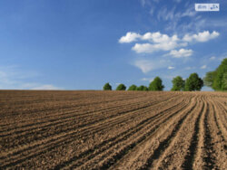 Продаж земельної ділянки сільськогосподарського призначення, площа 252 сотки фото 1 Продаж земельної ділянки сільськогосподарського призначення, площа 252 сотки фото 1