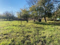 Продається ділянка Гавришівка, Вінницький, Вінницька фото 12 Продається ділянка Гавришівка, Вінницький, Вінницька фото 12