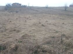 ��������� ������ ������, �����������, ³������� ���� 1