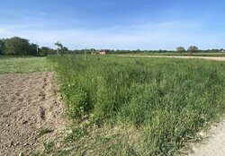 Продаж земельної ділянки під житлову забудову на вулиця Івана Франка, площа 18 соток фото 7 Продаж земельної ділянки під житлову забудову на вулиця Івана Франка, площа 18 соток фото 7