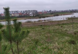 Продаж земельної ділянки сільськогосподарського призначення, площа 9 соток фото 1 Продаж земельної ділянки сільськогосподарського призначення, площа 9 соток фото 1