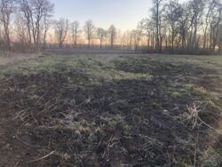 Продаж ділянки, перша лінія комерційного призначеня фото 2 Продаж ділянки, перша лінія комерційного призначеня фото 2