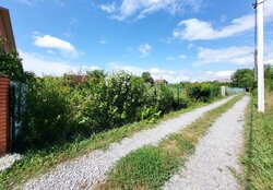 ������ �������� ������ ��������������������� ����������� �� ���. �������������� ����, ����� 7 ����� ���� 11