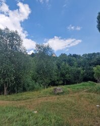 Продаж земельної ділянки під житлову забудову на вул. Крутнів Яр, площа 30 соток фото 7 Продаж земельної ділянки під житлову забудову на вул. Крутнів Яр, площа 30 соток фото 7