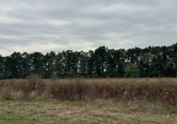 Продаж земельної ділянки під садівництво 8 соток, с. Бохоники фото 8 Продаж земельної ділянки під садівництво 8 соток, с. Бохоники фото 8