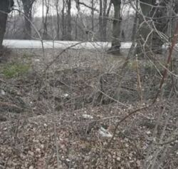 ��������� ������ ³�����, ³�������, �������������, ���������� ���� ���� 5