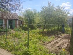 ��������� ������ ������, ³�����, ³������� ���� 1