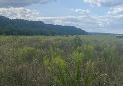 Продаж земельної ділянки під житлову забудову, площа 6 соток фото 1 Продаж земельної ділянки під житлову забудову, площа 6 соток фото 1