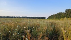 �������� ������ �����������, ( ������ ����) ���� 1