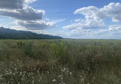 Продаж земельної ділянки під житлову забудову, площа 6 соток фото 2 Продаж земельної ділянки під житлову забудову, площа 6 соток фото 2