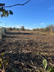 Продаж земельної ділянки, Тяжилів фото 3 Продаж земельної ділянки, Тяжилів фото 3