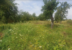 ��������� ������ ������� ������������� 41, �����, ³��������, ³������� ���� 4