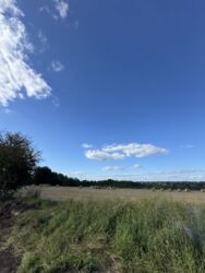 ������ �������� ������ ������ 15 �����, �-� ������ ���� 2