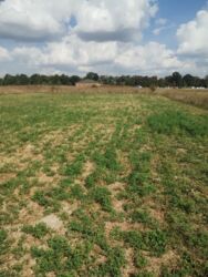 Продаж земельної ділянки 14 соток під забудову , Ксаверівка.. фото 6 Продаж земельної ділянки 14 соток під забудову , Ксаверівка.. фото 6