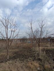 ��������� ������ ����� '����������', ³�����, ³�������, ��������� ���� 3