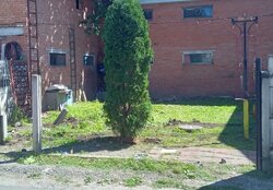 ������ �������� ������ �� ������� �������� �� ���. ����� �������������, ����� 87 ��.� ���� 3